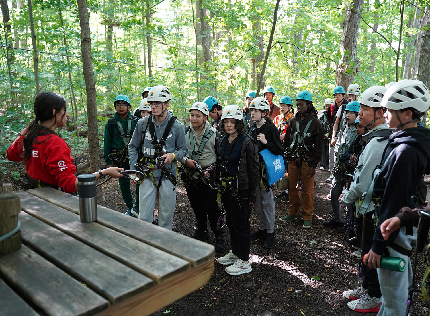 Treetop Trekking 4